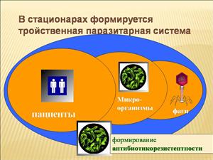 Бактериофаг в интерактиве