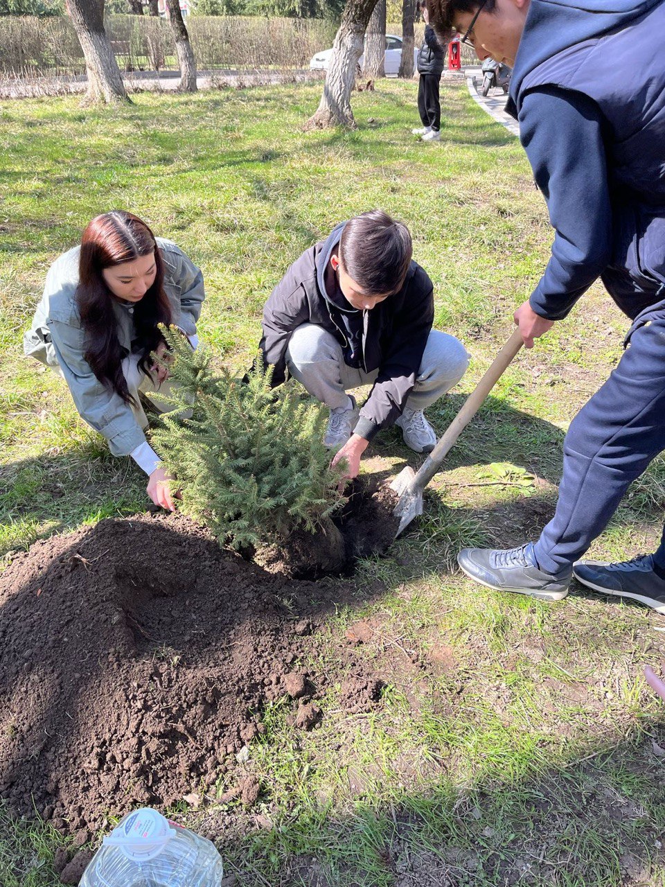 Eco-action ‘Trees - Lungs of the Planet’