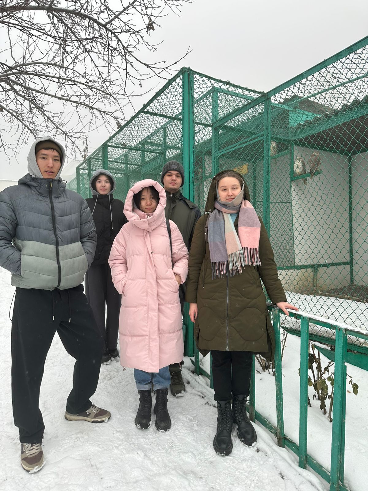 Изучение редких хищных птиц как элемент экологического образования и охраны экосистем