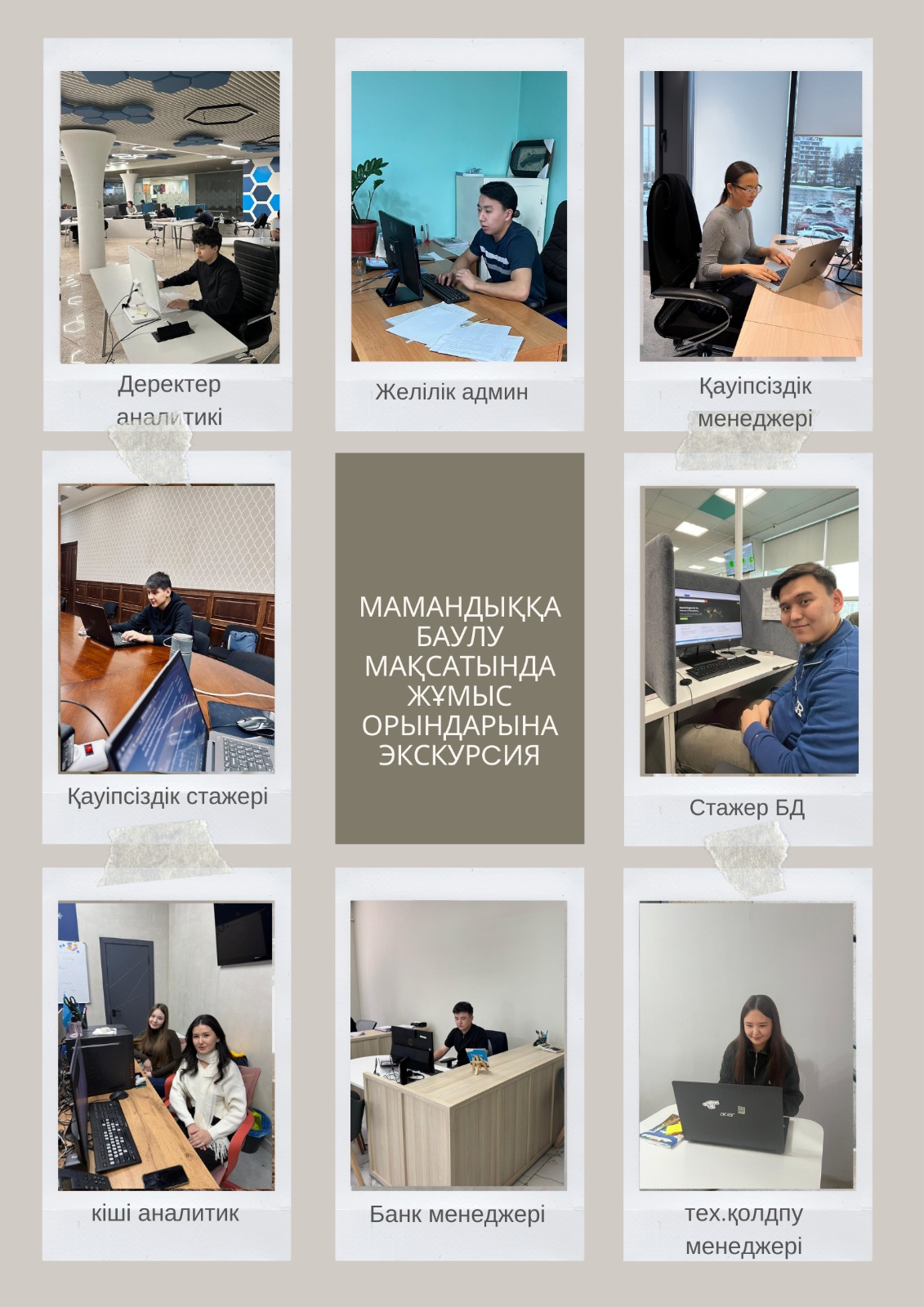Workplace Excursions for Professional Orientation