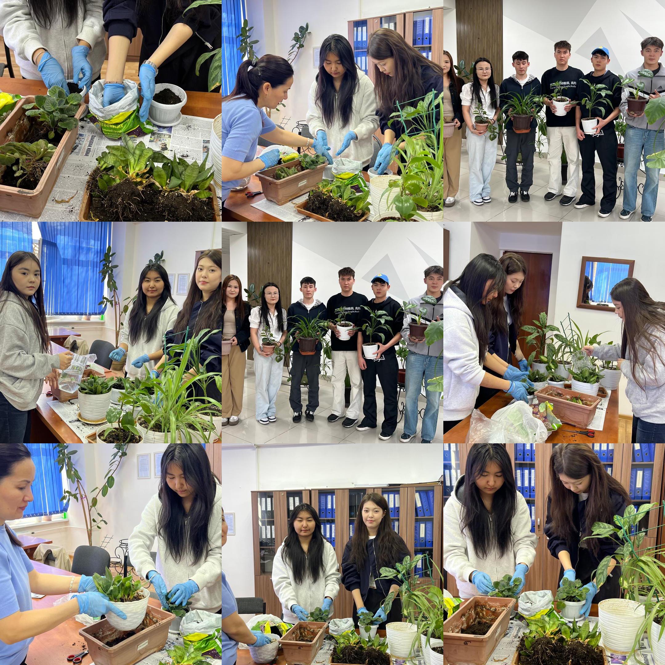 SDG 15. “Green Space” Environmental Challenge: A Joint Initiative of Students and Faculty