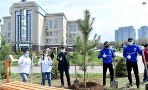 The Dean and activists of the Faculty of Mechanics and Mathematics took part in the ecological working Saturday