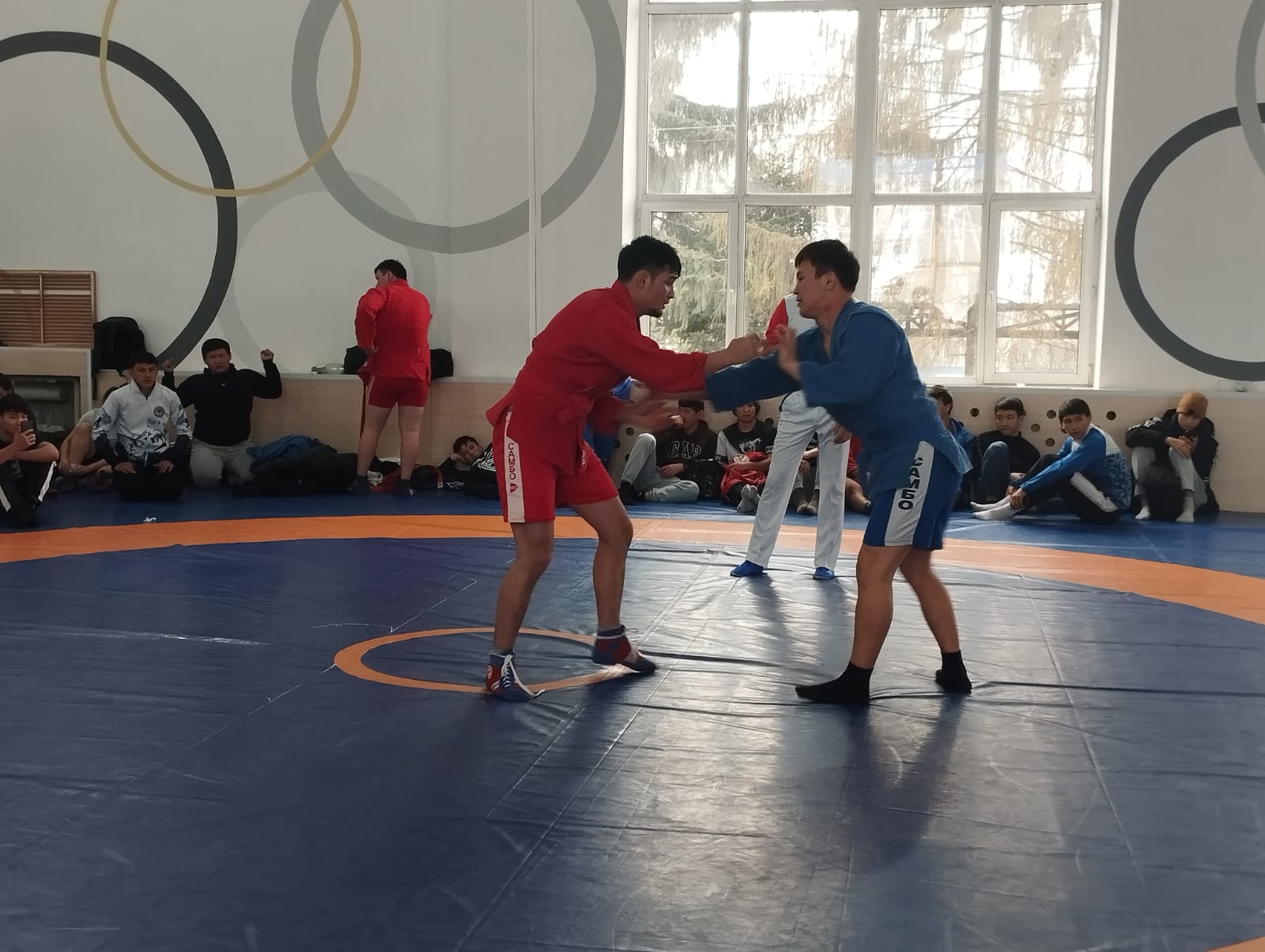 SAMBO