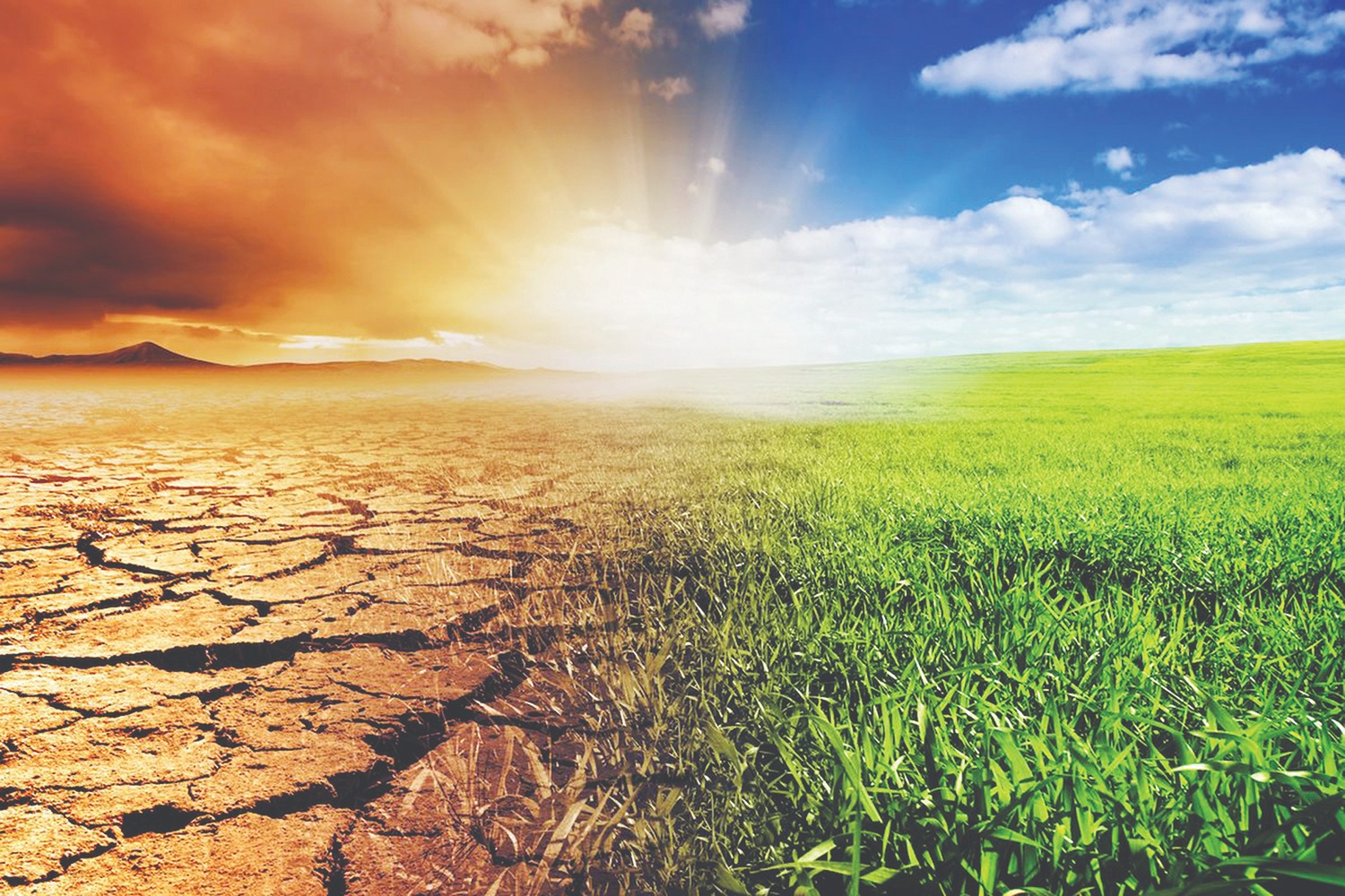 The politics of climate change