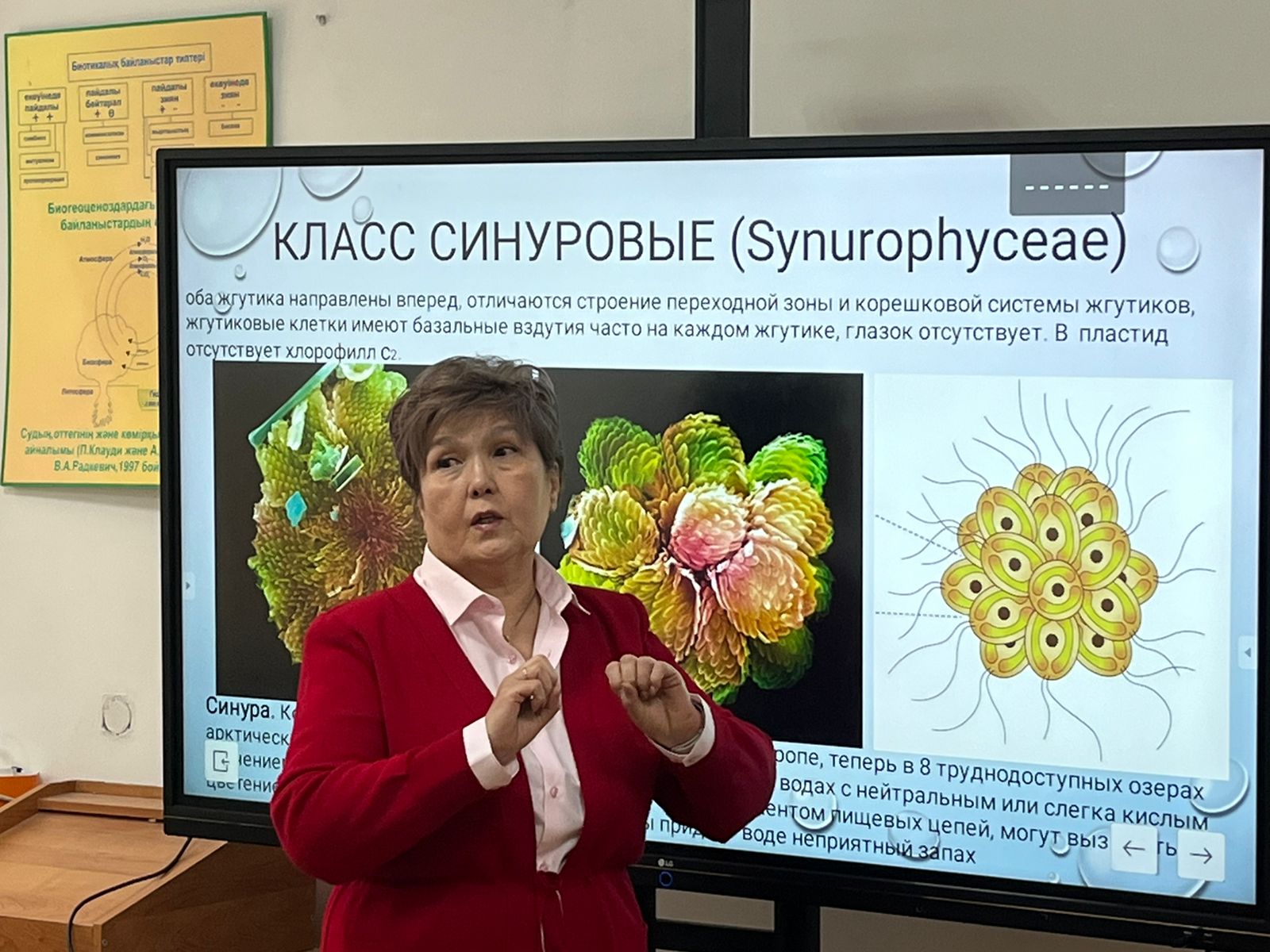 Open Lecture by Professor Saltanat Tolepbekovna Nazarbekova: “The Modern System of Ochrophyte Algae (Division Ochrophyta)”