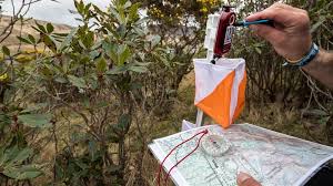 Orienteering.