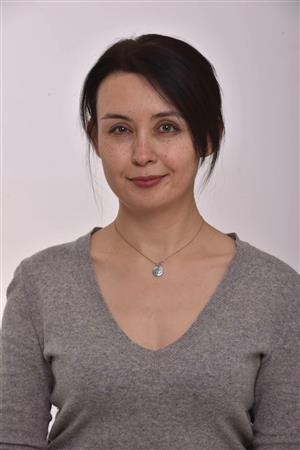 Параметры культурных различий и их роль на межкультурную коммуникацию