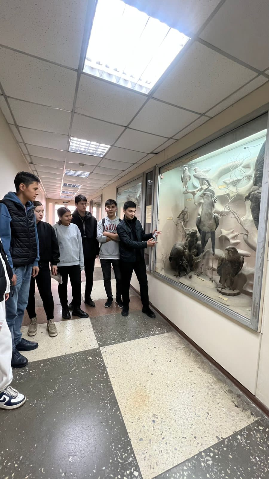 The Biological Museum