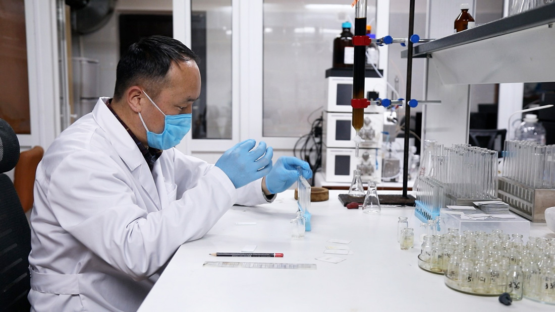 KazNU scientist has revealed the plant's activity against various diseases