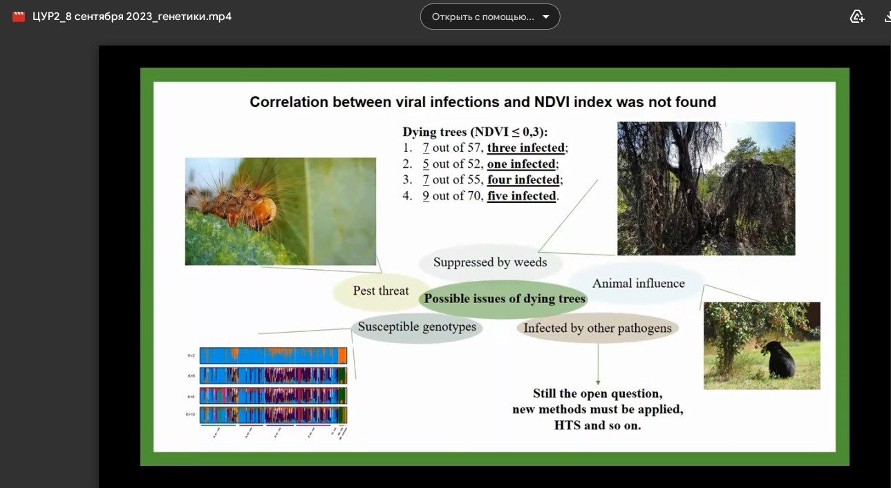 WEBINAR OF DOCTORAL STUDENTS OF THE DEPARTMENT OF MOLECULAR BIOLOGY AND GENETICS WITHIN THE FRAMEWORK OF THE SDGs