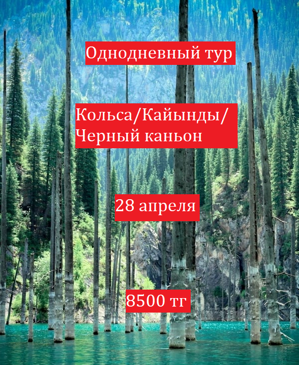 One day tour