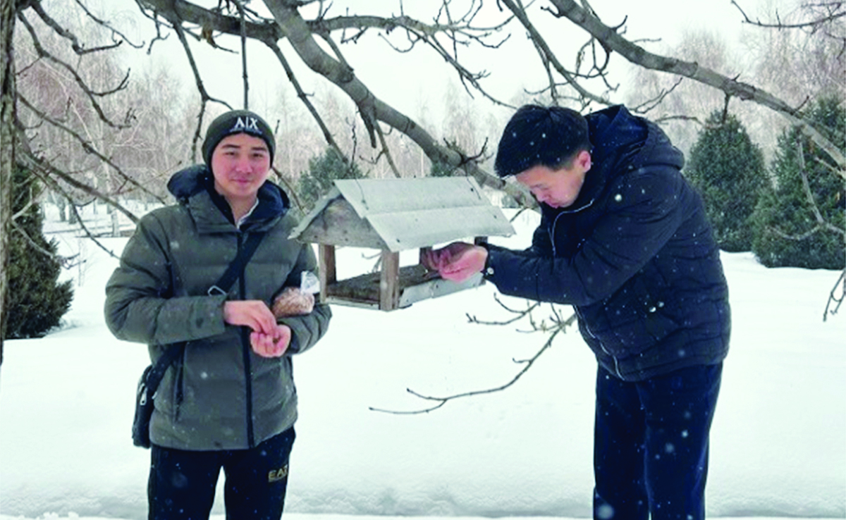 Bird protection is a task