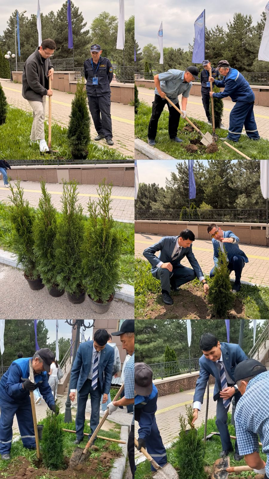 Tree planting campaign “Zhasyl El – Taza Kazakhstan!” SDGs-13