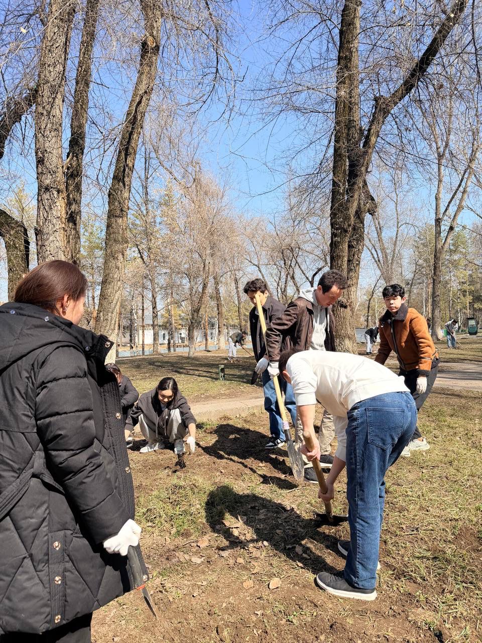 В рамках ЦУР 15 на территории КазНУ были проведены работы по посадке деревьев и озеленению