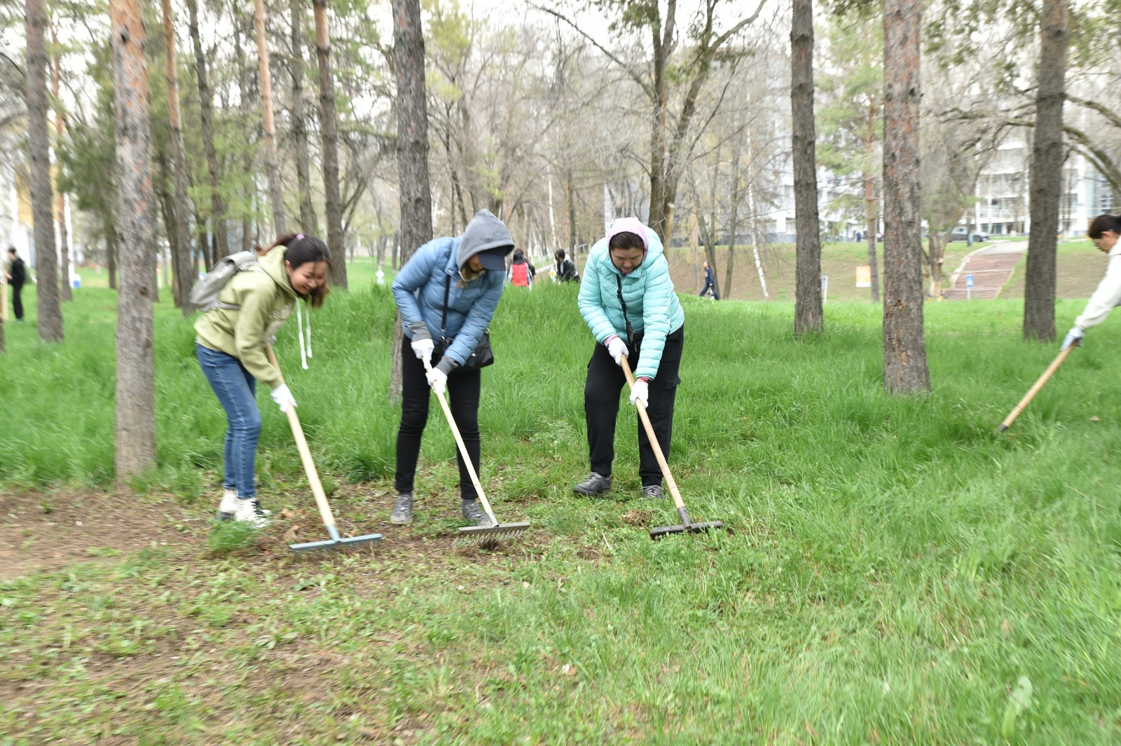 Environmental campaign "Clean Kazakhstan"