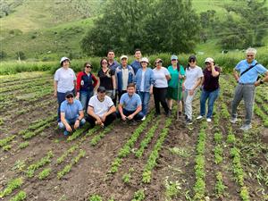 Weeding of young fir trees, dedicated to the International Day of Environmental Protection within the framework of SDG 15 "Conservation of terrestrial ecosystems"