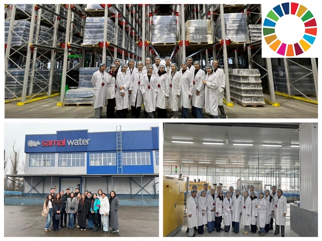 Кәсіпорнындағы өндірістік үдерістерді ұйымдастыру және ресурстарды тиімді пайдалану
