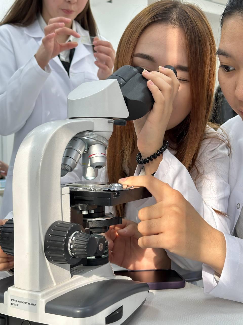 World Science Day – SDG 4, SDG 9 and SDG 13 Focus