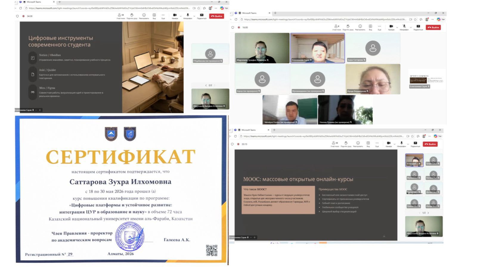 International Professional Development Course on Digital Platforms and Sustainable Development