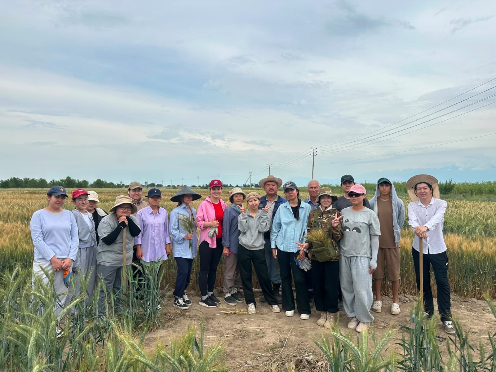 Sustainable Use of Plant Resources and the Development of Organic Agriculture